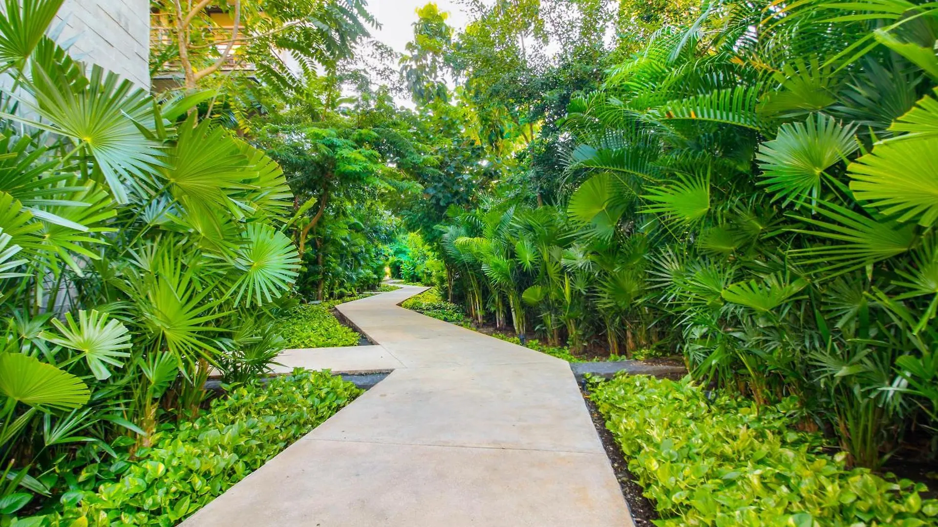 Apartment All In One Tulum